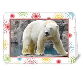 Polar Bear Fireworks – 5×7 Card