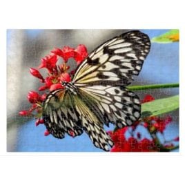 Butterfly – 252 Piece Puzzle